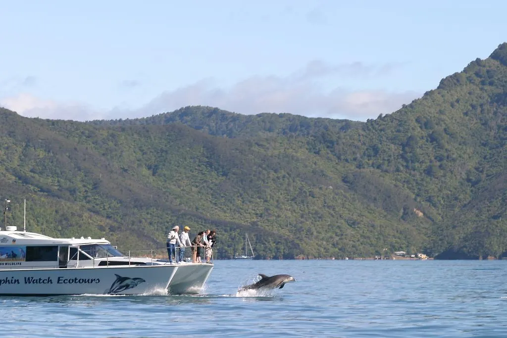 **** Hotel Edit Picton New Zealand